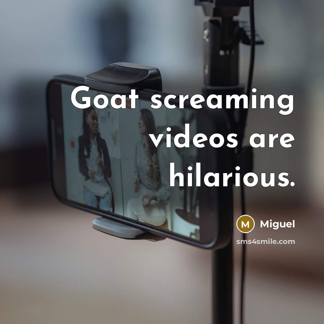 “Goat screaming videos are hilarious.” quote by Miguel