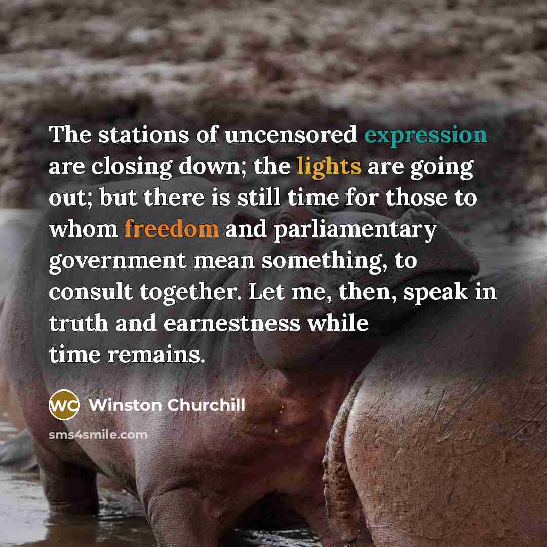 “The stations of uncensored expression are closing down; the lights are going out; but there is still time for those to whom freedom and parliamentary government mean something, to consult together. Let me, then, speak in truth and earnestness while time remains.” quote by Winston Churchill