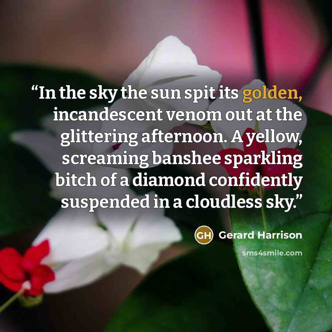 “In the sky the sun spit its golden, incandescent venom out at the glittering afternoon. A yellow, screaming banshee sparkling bitch of a diamond confidently suspended in a cloudless sky.” quote by Gerard Harrison