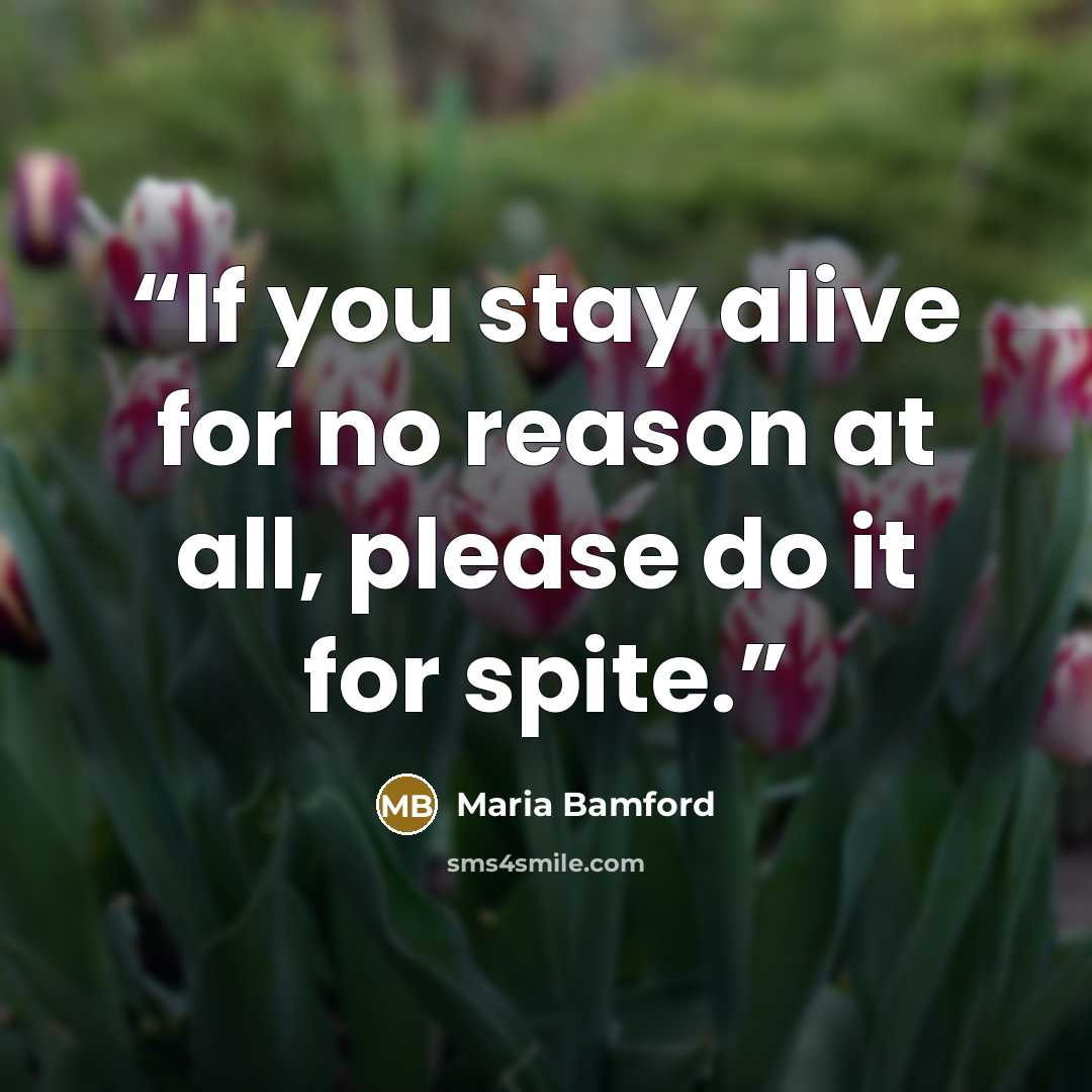 “If you stay alive for no reason at all, please do it for spite.” quote by Maria Bamford