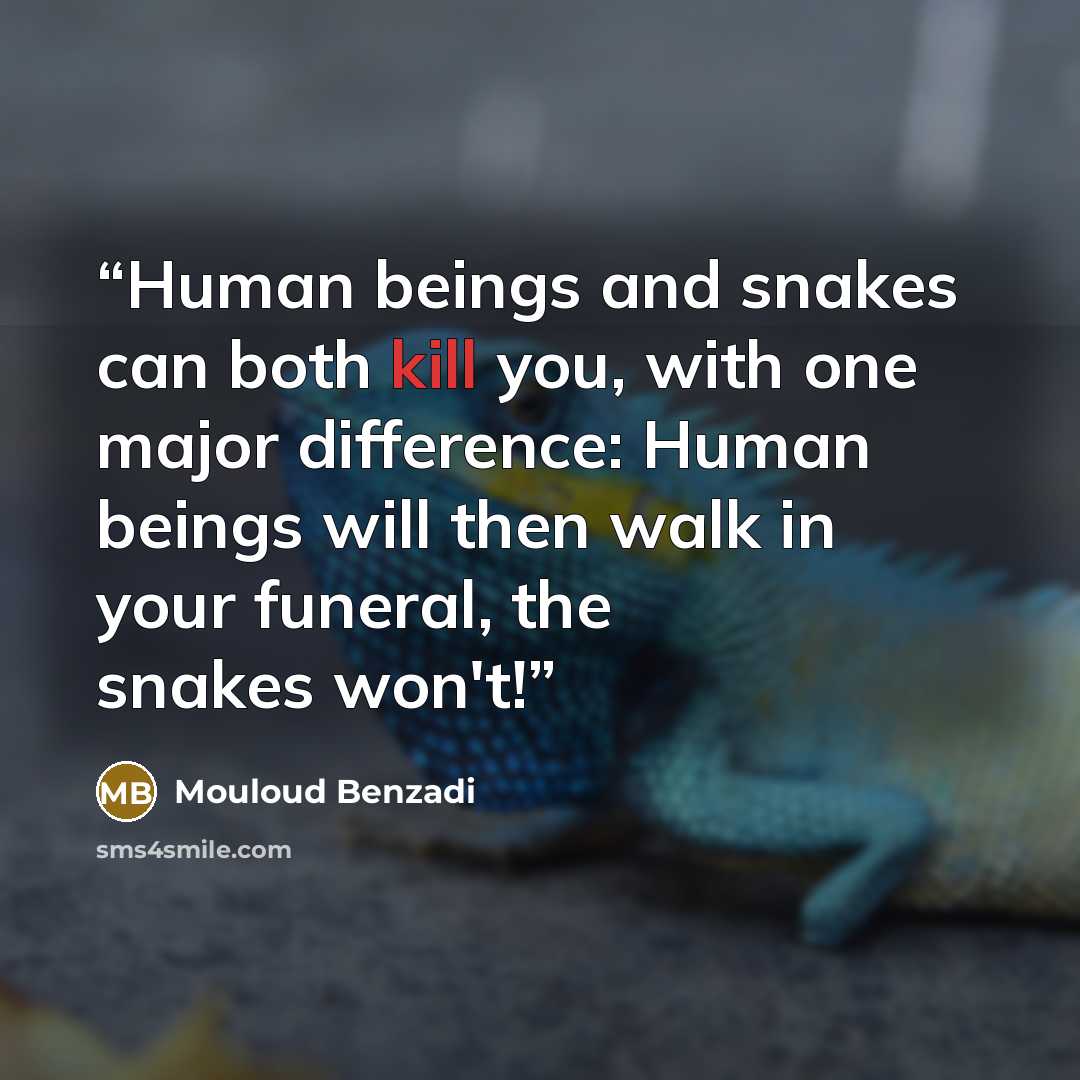“Human beings and snakes can both kill you, with one major difference: Human beings will then walk in your funeral, the snakes won't!” quote by Mouloud Benzadi