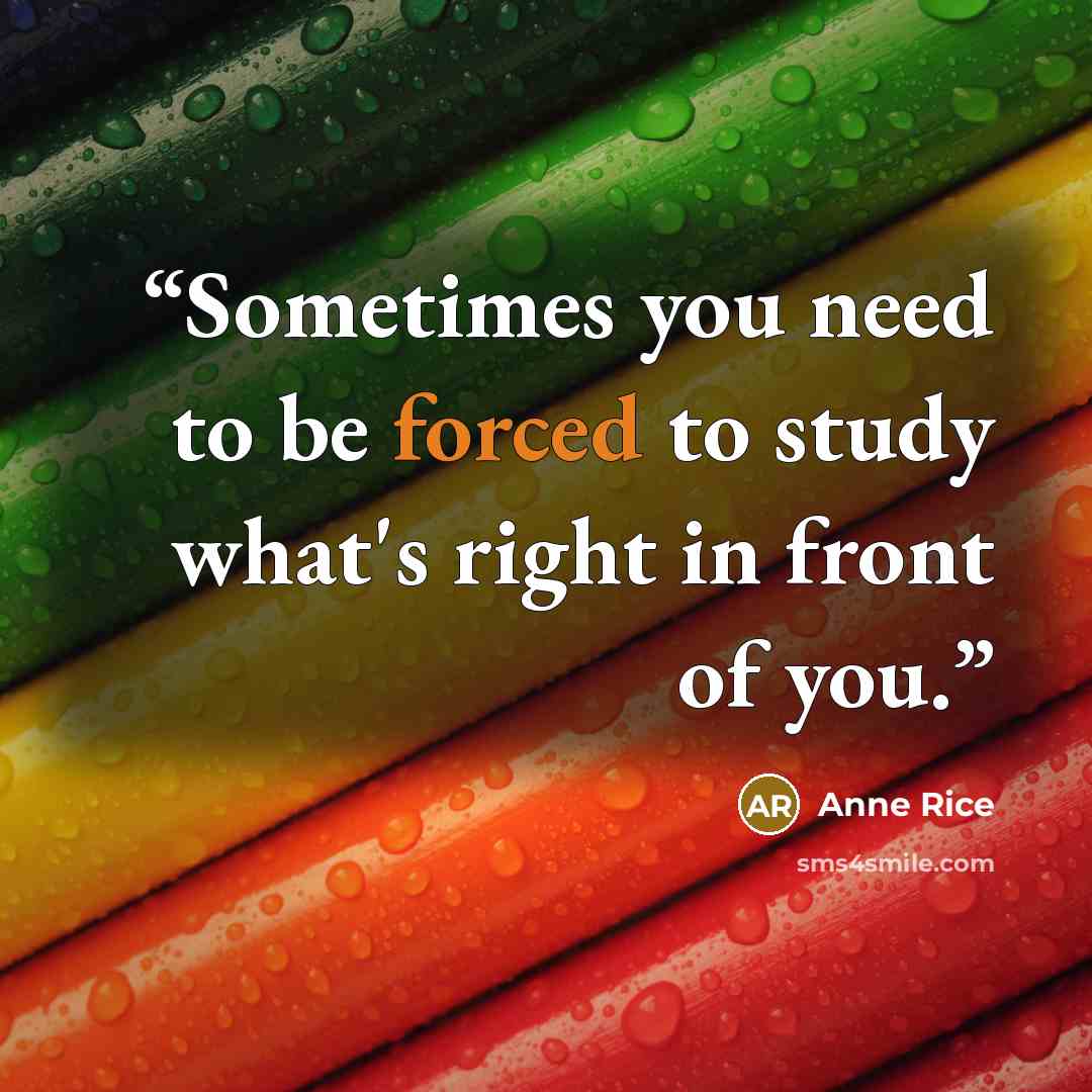 “Sometimes you need to be forced to study what's right in front of you.” quote by Anne Rice
