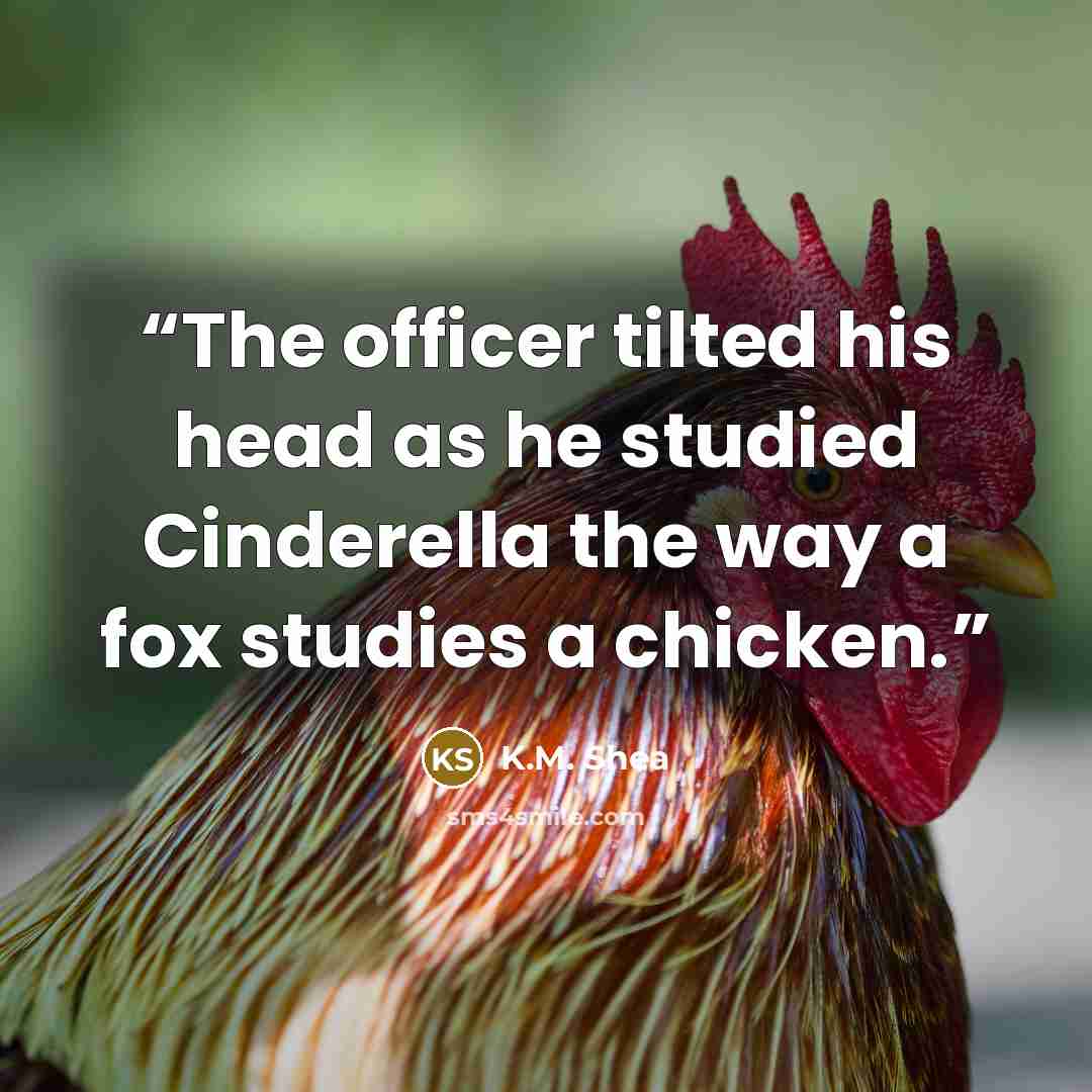 “The officer tilted his head as he studied Cinderella the way a fox studies a chicken.” quote by K.M. Shea