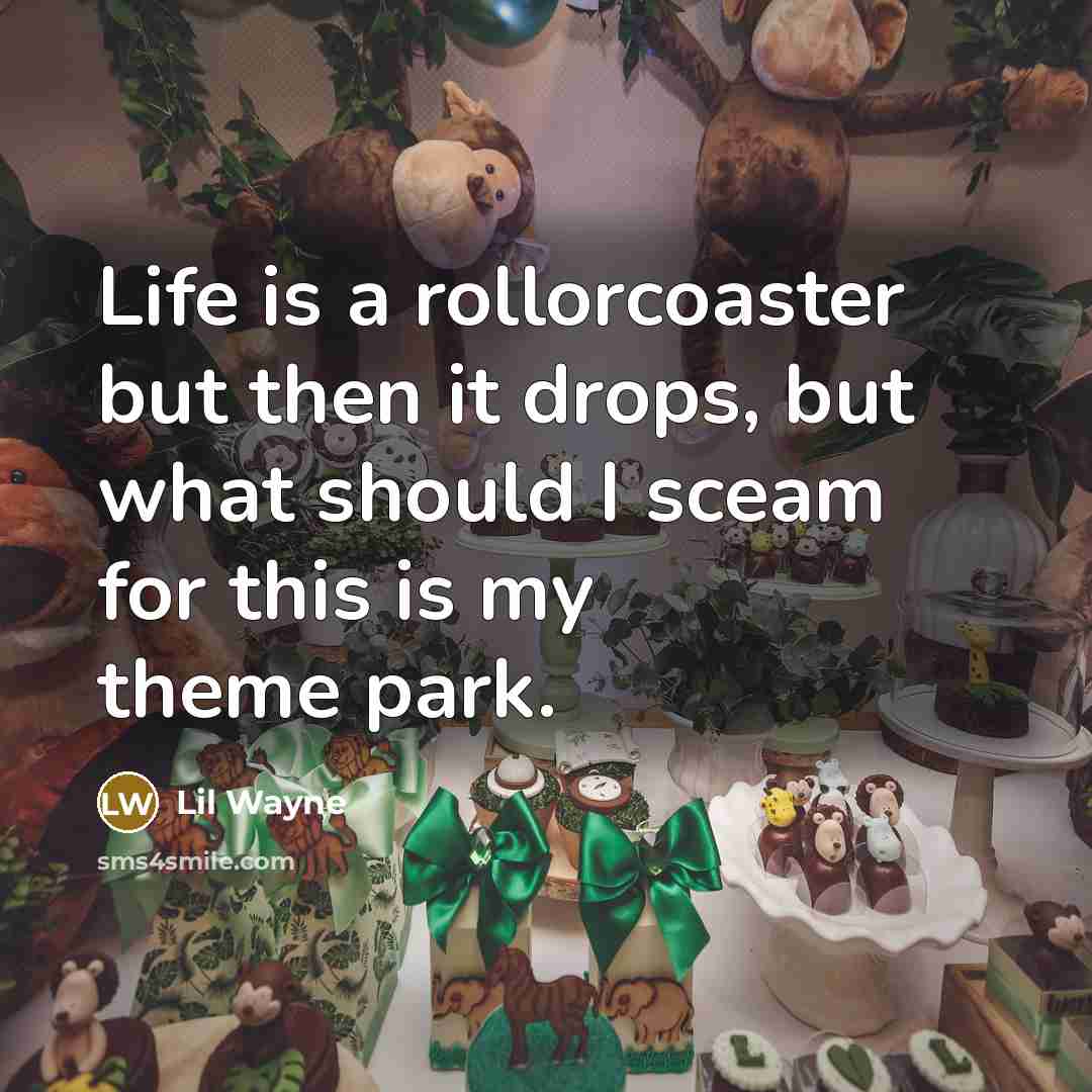 “Life is a rollorcoaster but then it drops, but what should I sceam for this is my theme park.” quote by Lil Wayne