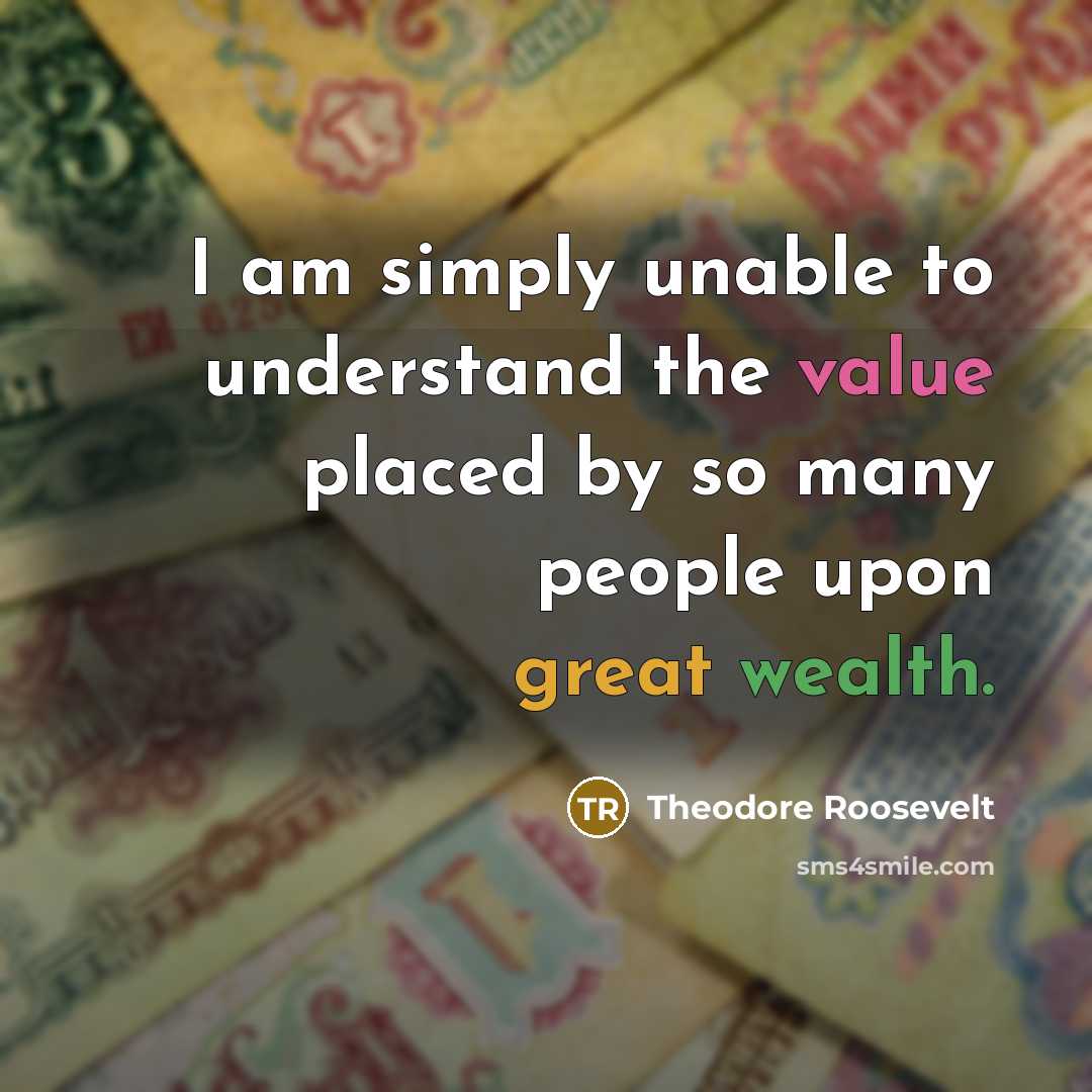 “I am simply unable to understand the value placed by so many people upon great wealth.” quote by Theodore Roosevelt