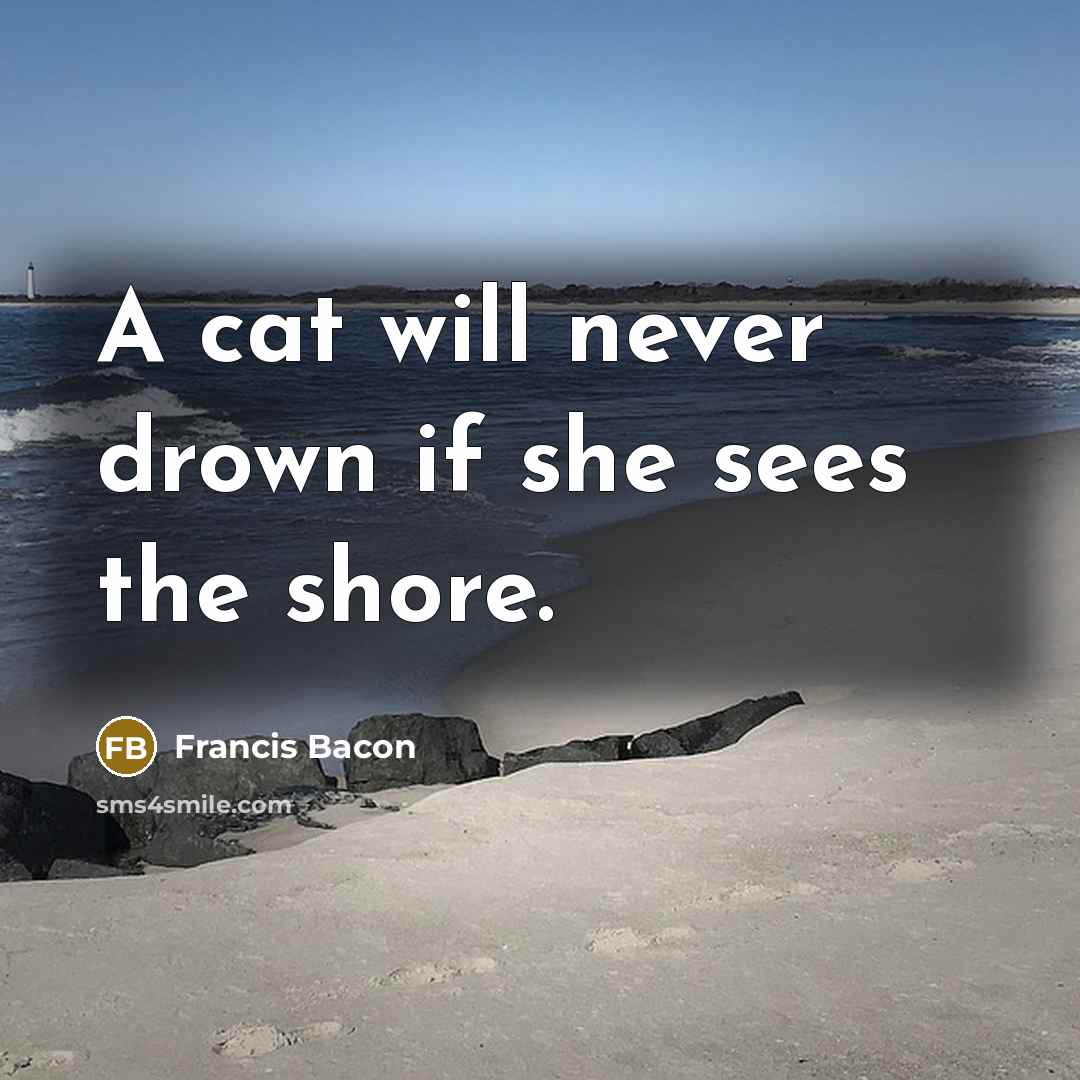“A cat will never drown if she sees the shore.” quote by Francis Bacon