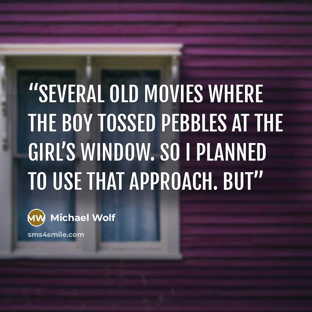 “several old movies where the boy tossed pebbles at the girl’s window. So I planned to use that approach. But” quote by Michael Wolf