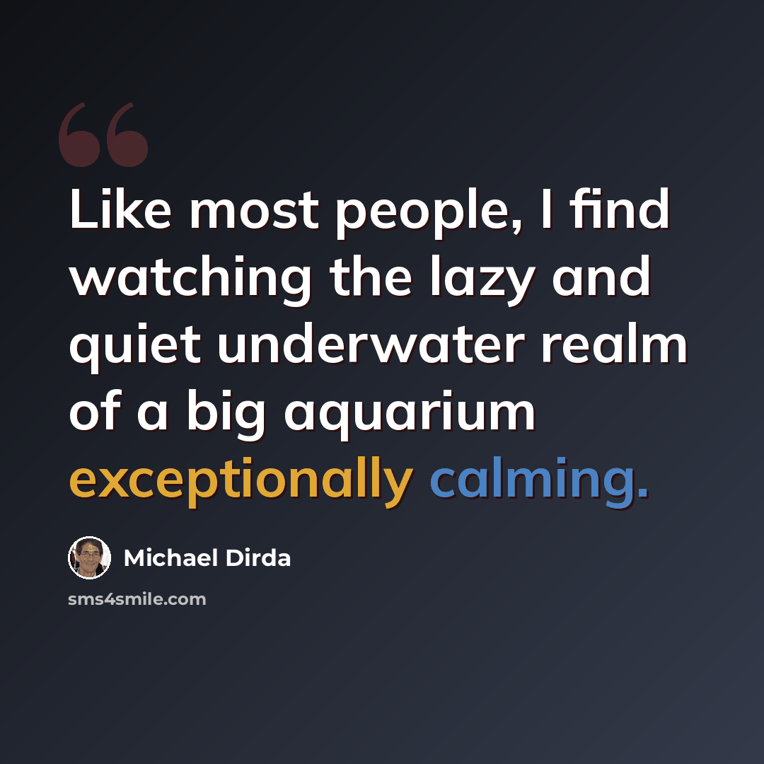 “Like most people, I find watching the lazy and quiet underwater realm of a big aquarium exceptionally calming.” quote by Michael Dirda