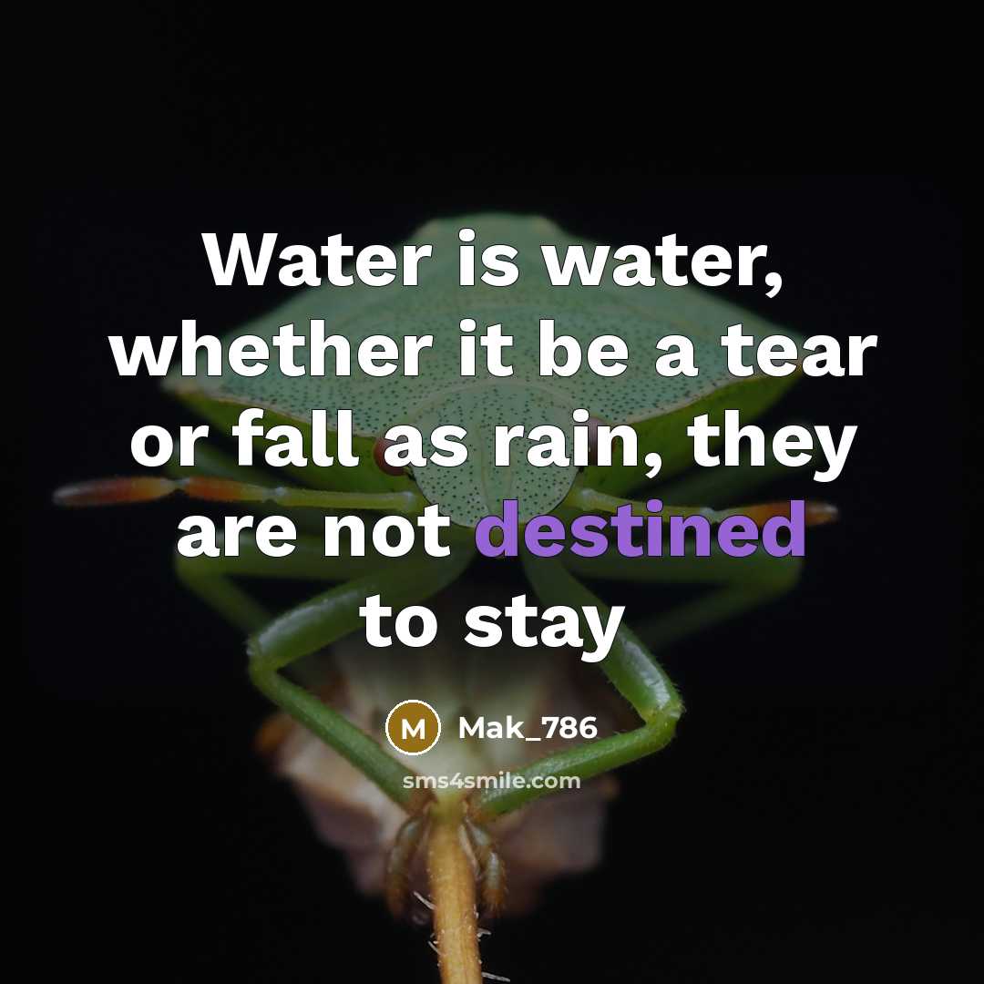 “Water is water, whether it be a tear or fall as rain, they are not destined to stay” quote by Mak_786