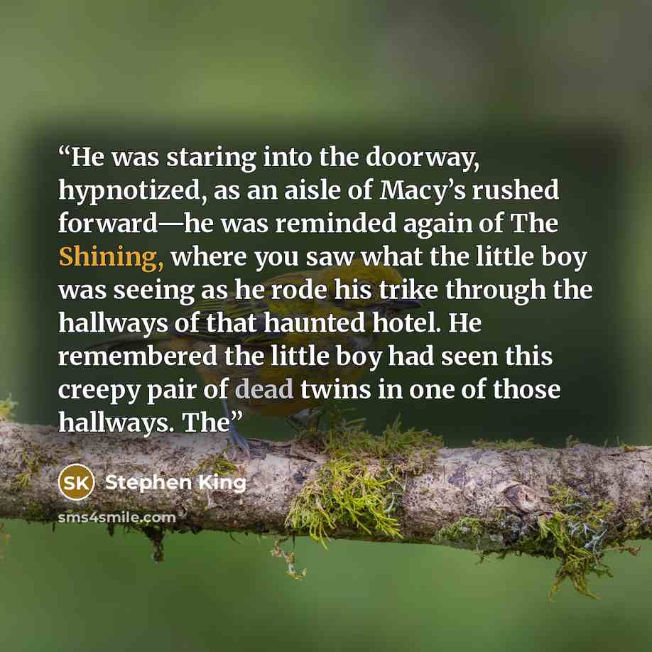 “He was staring into the doorway, hypnotized, as an aisle of Macy’s rushed forward—he was reminded again of The Shining, where you saw what the little boy was seeing as he rode his trike through the hallways of that haunted hotel. He remembered the little boy had seen this creepy pair of dead twins…” quote by Stephen King
