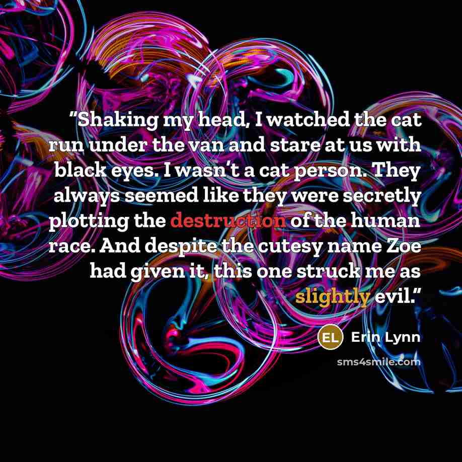 “Shaking my head, I watched the cat run under the van and stare at us with black eyes. I wasn’t a cat person. They always seemed like they were secretly plotting the destruction of the human race. And despite the cutesy name Zoe had given it, this one struck me as slightly evil.” quote by Erin Lynn