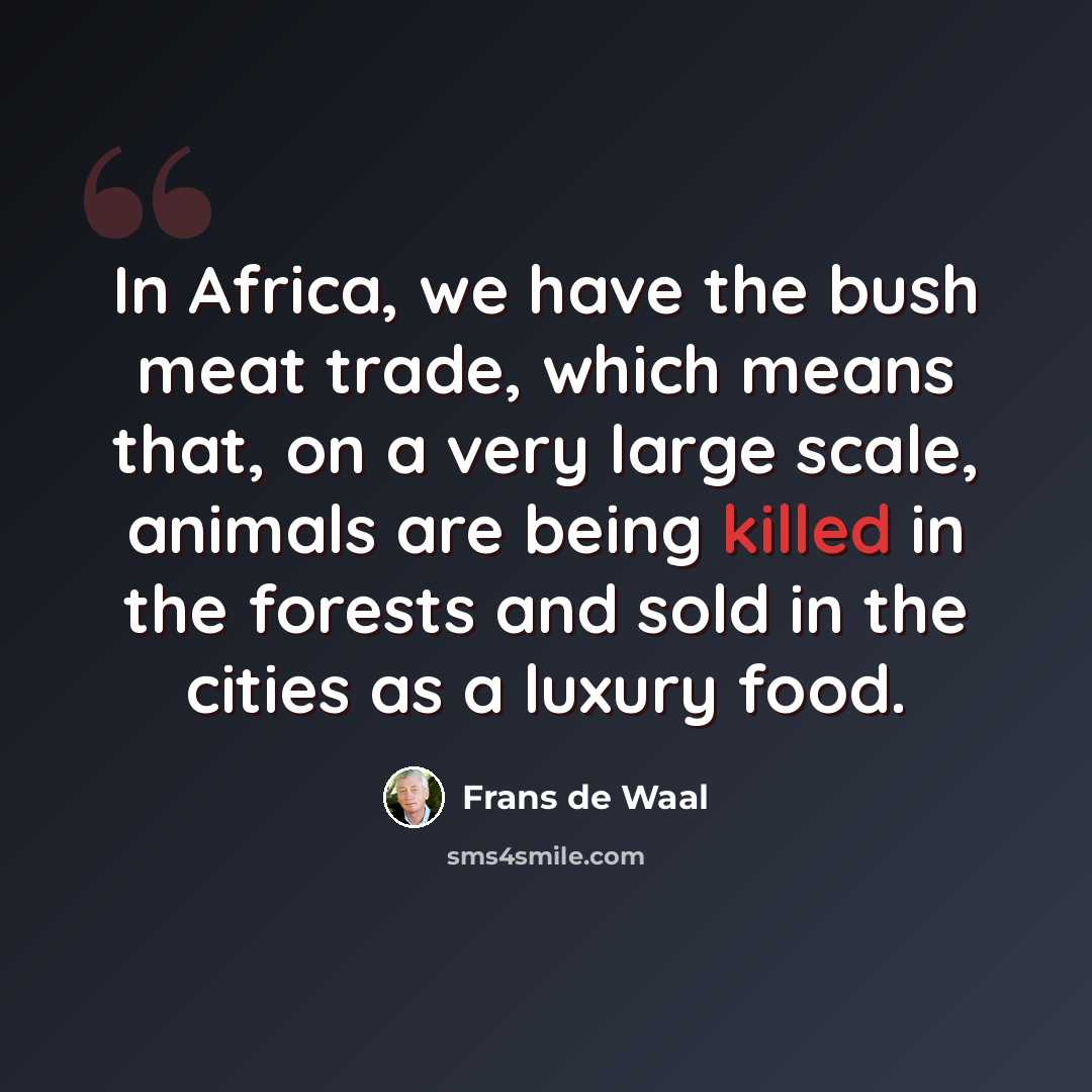 “In Africa, we have the bush meat trade, which means that, on a very large scale, animals are being killed in the forests and sold in the cities as a luxury food.” quote by Frans de Waal