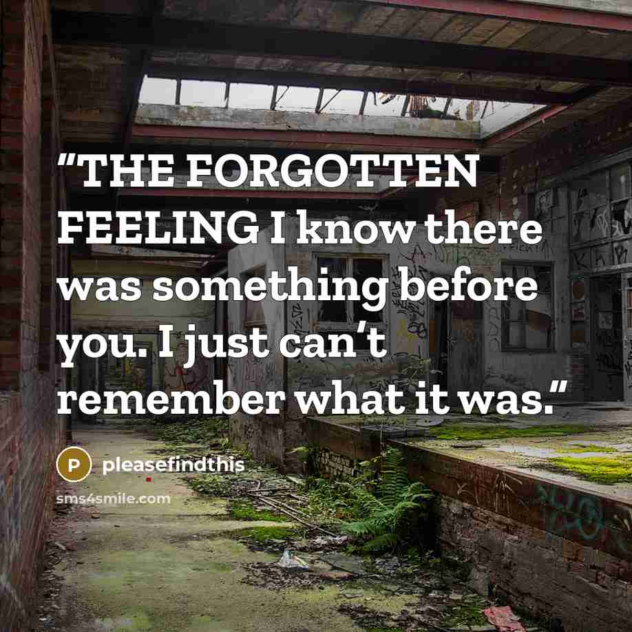 “THE FORGOTTEN FEELING I know there was something before you. I just can’t remember what it was.” quote by pleasefindthis