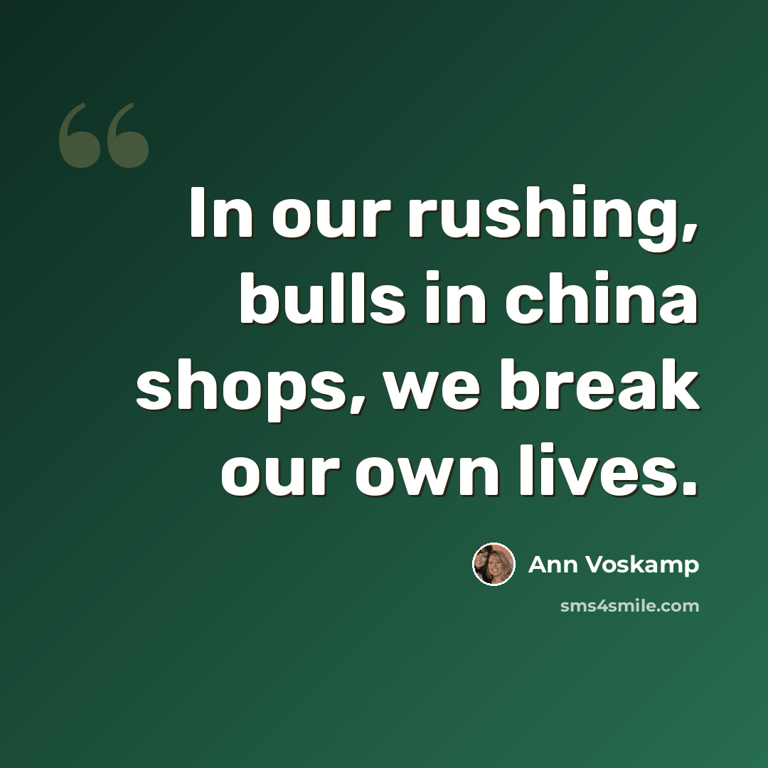“In our rushing, bulls in china shops, we break our own lives.” quote by Ann Voskamp