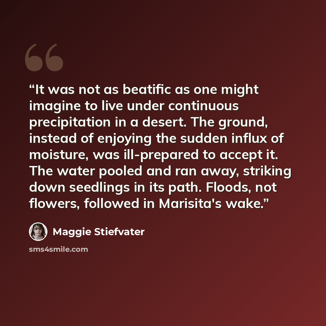 “It was not as beatific as one might imagine to live under continuous precipitation in a desert. The ground, instead of enjoying the sudden influx of moisture, was ill-prepared to accept it. The water pooled and ran away, striking down seedlings in its path. Floods, not flowers, followed in…” quote by Maggie Stiefvater