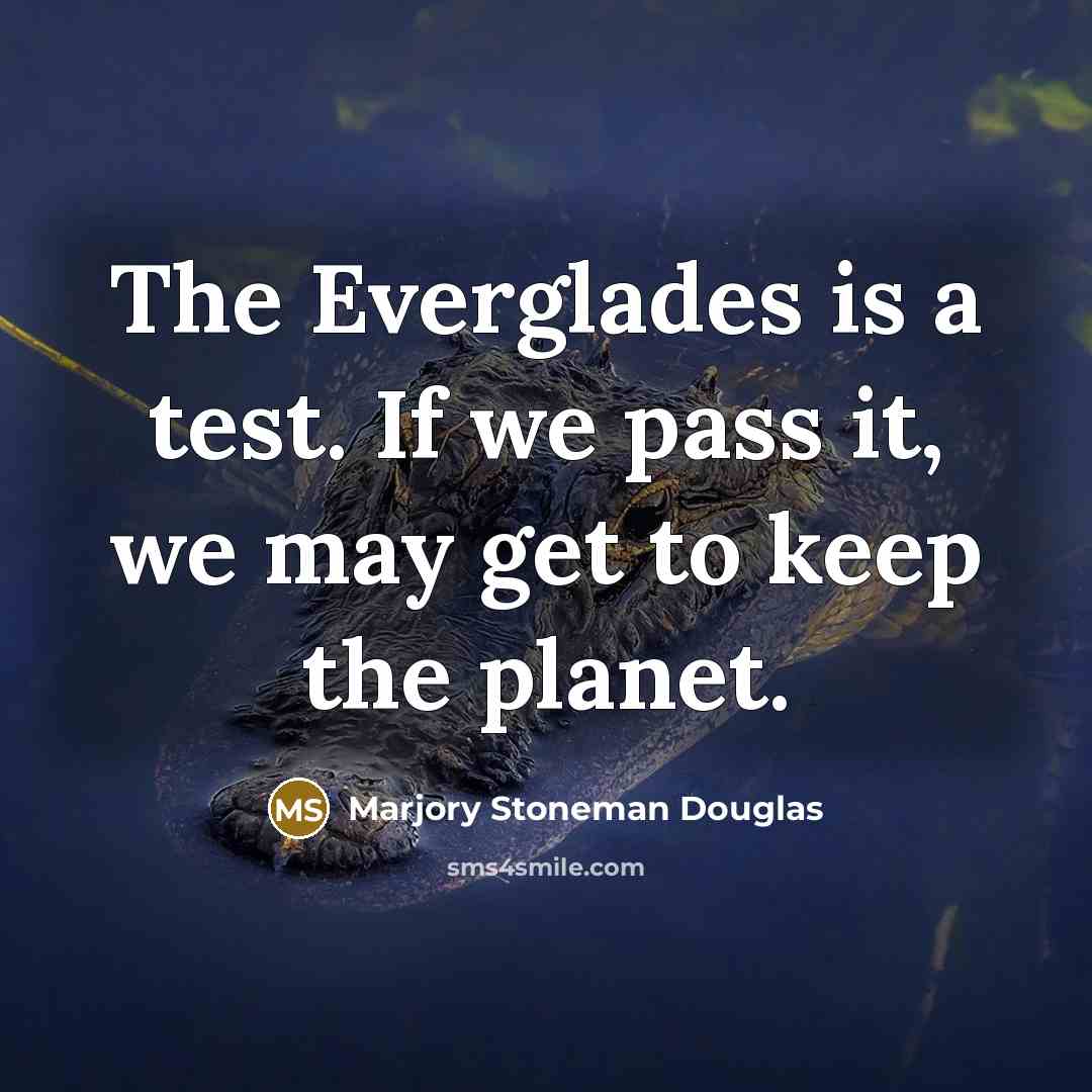 “The Everglades is a test. If we pass it, we may get to keep the planet.” quote by Marjory Stoneman Douglas