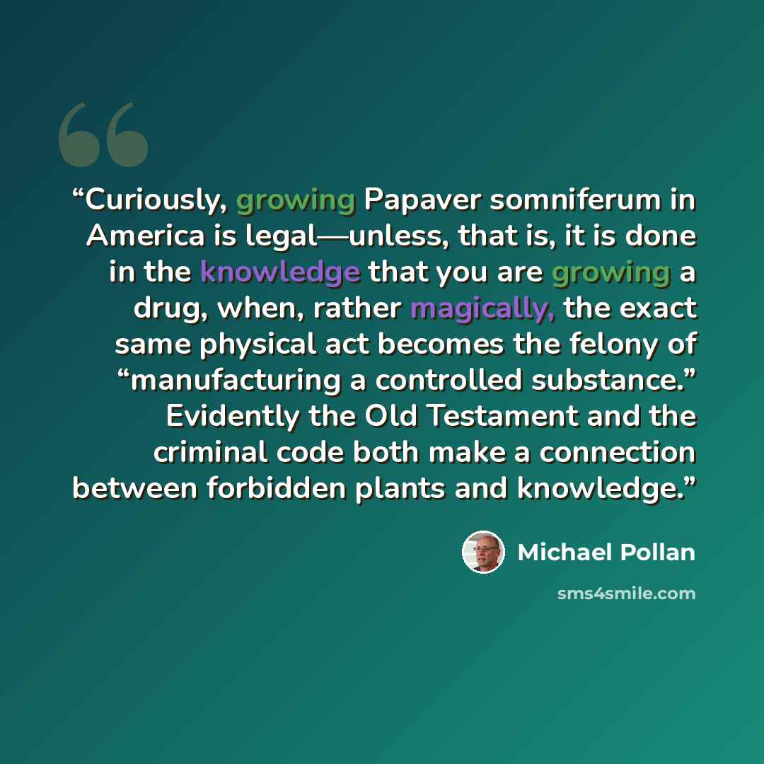 “Curiously, growing Papaver somniferum in America is legal—unless, that is, it is done in the knowledge that you are growing a drug, when, rather magically, the exact same physical act becomes the felony of “manufacturing a controlled substance.” Evidently the Old Testament and the criminal code…” quote by Michael Pollan