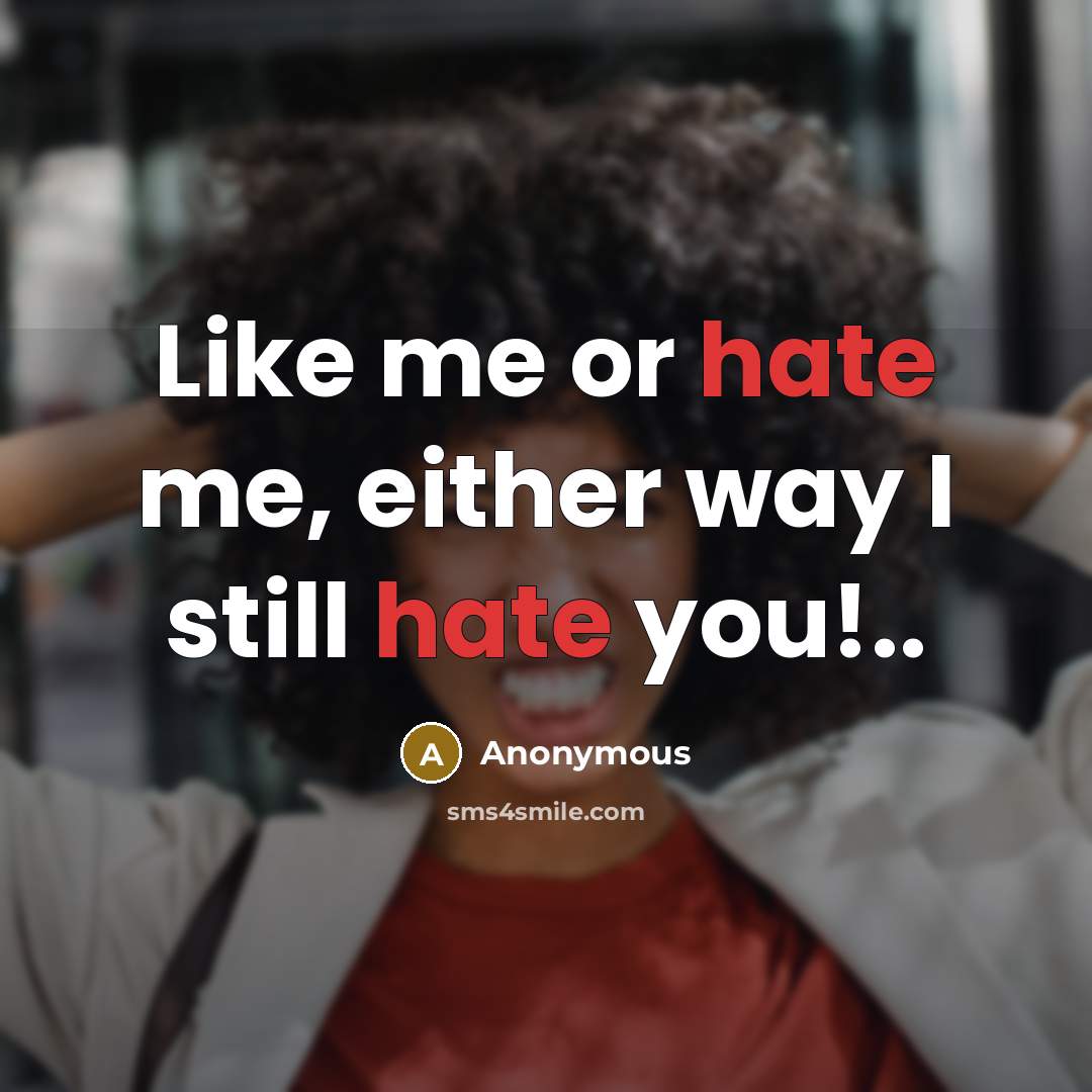 “Like me or hate me, either way I still hate you!..” quote by Anonymous