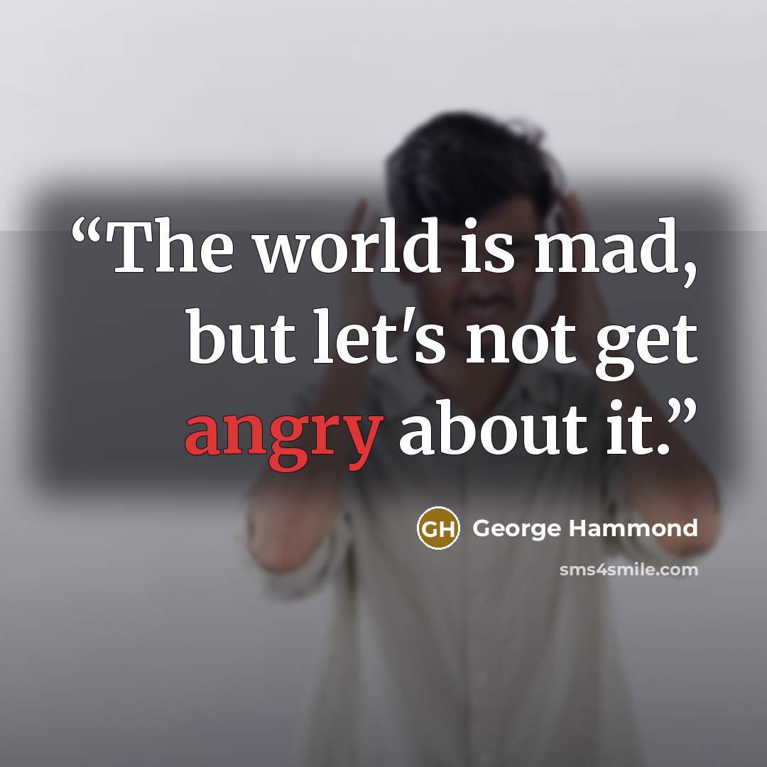 “The world is mad, but let's not get angry about it.” quote by George Hammond