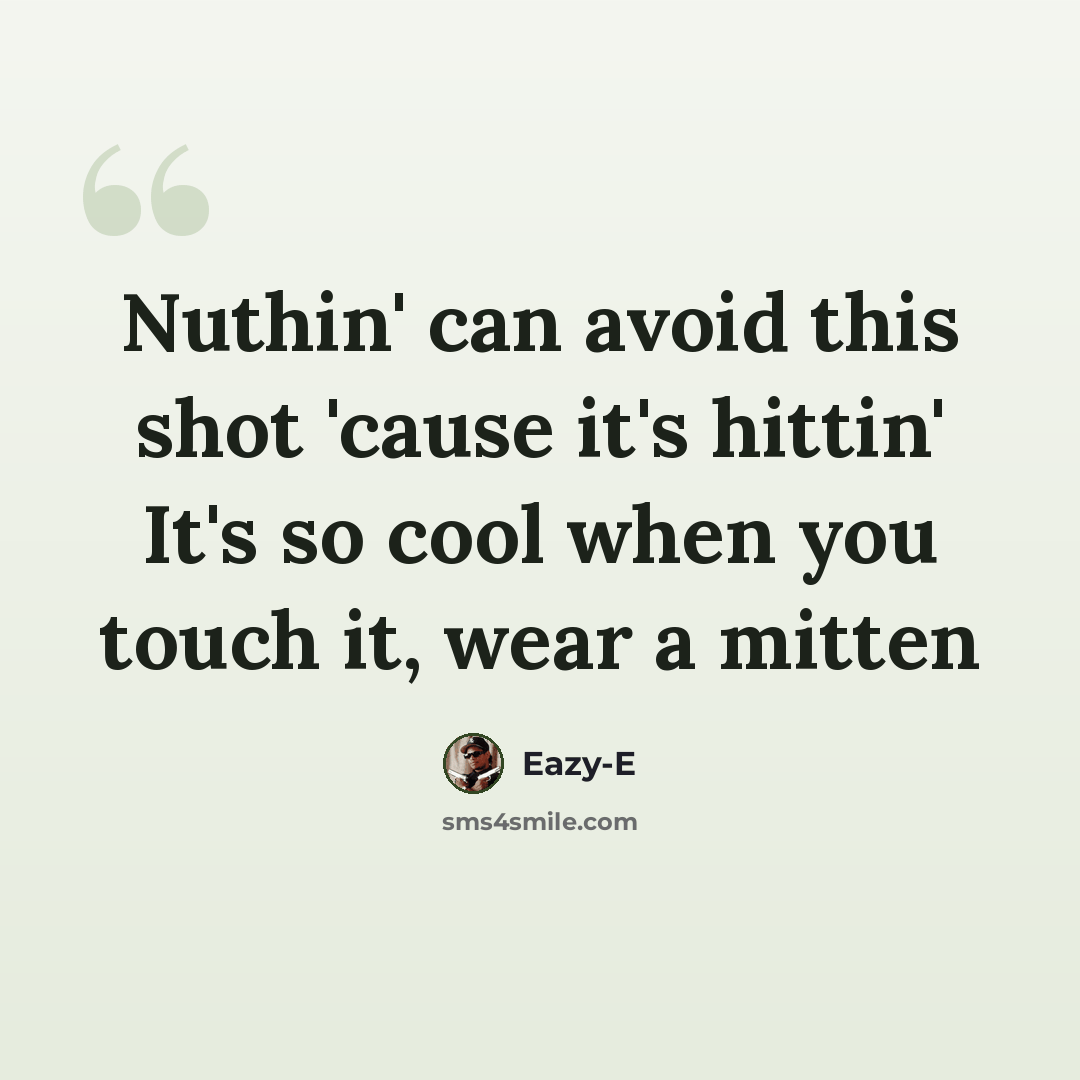 “Nuthin' can avoid this shot 'cause it's hittin' It's so cool when you touch it, wear a mitten” quote by Eazy-E