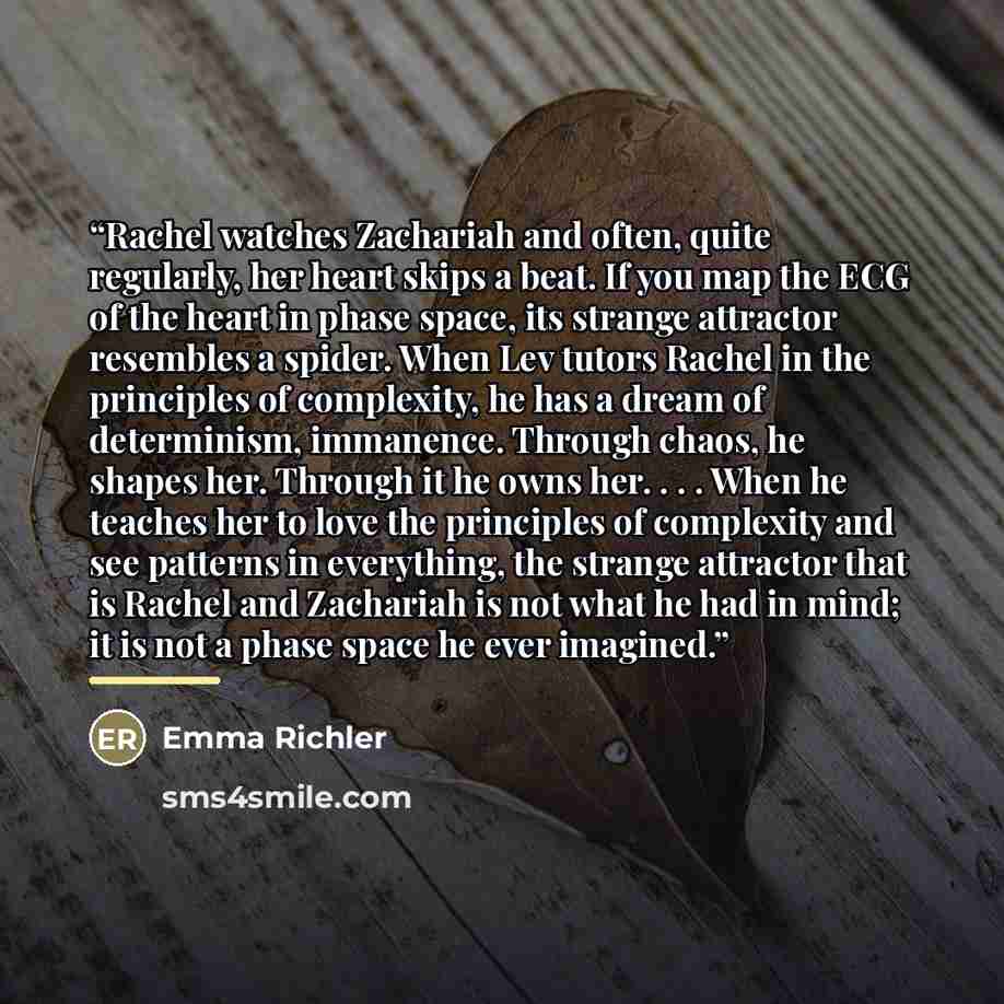 “Rachel watches Zachariah and often, quite regularly, her heart skips a beat. If you map the ECG of the heart in phase space, its strange attractor resembles a spider. When Lev tutors Rachel in the principles of complexity, he has a dream of determinism, immanence. Through chaos, he shapes her…” quote by Emma Richler