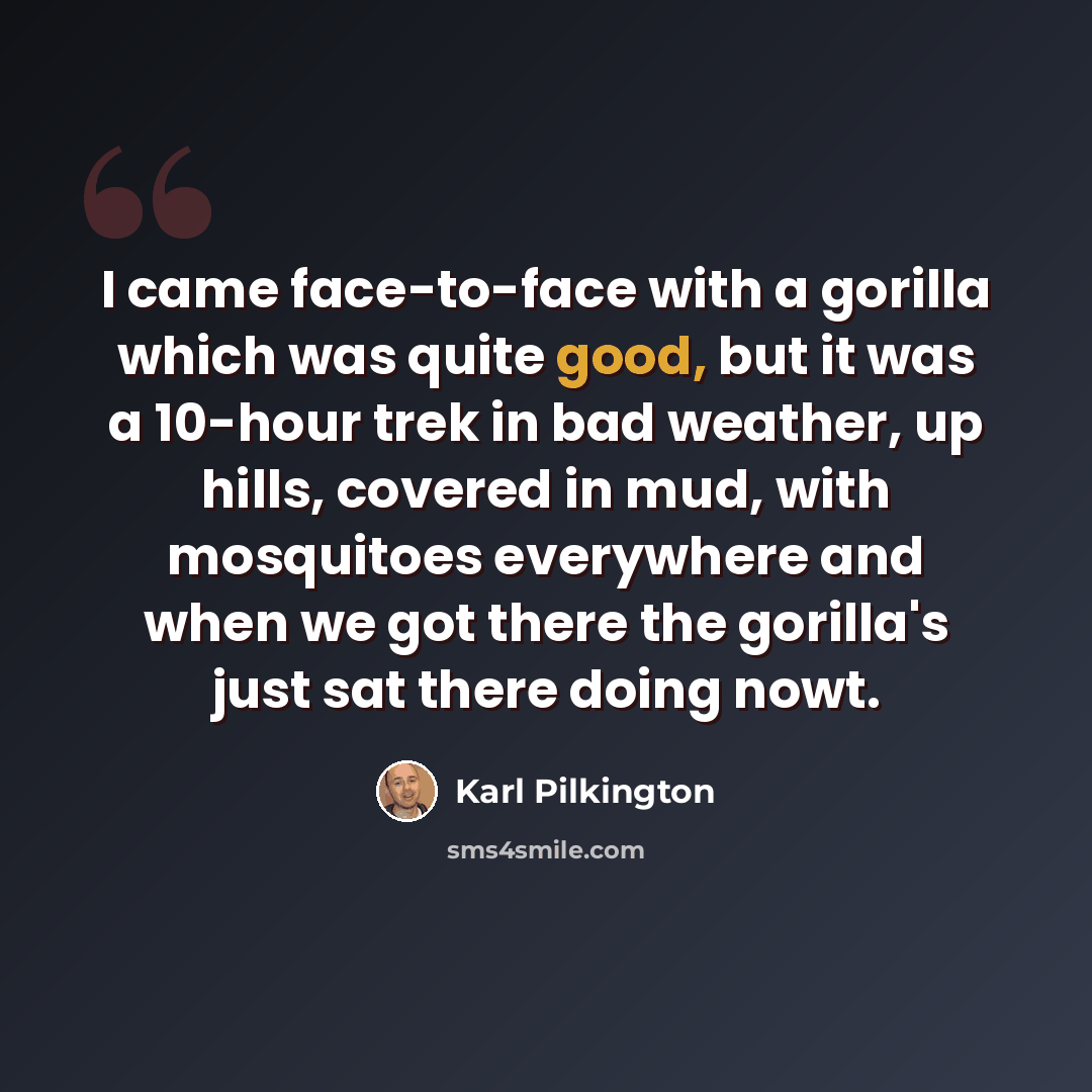 “I came face-to-face with a gorilla which was quite good, but it was a 10-hour trek in bad weather, up hills, covered in mud, with mosquitoes everywhere and when we got there the gorilla's just sat there doing nowt.” quote by Karl Pilkington