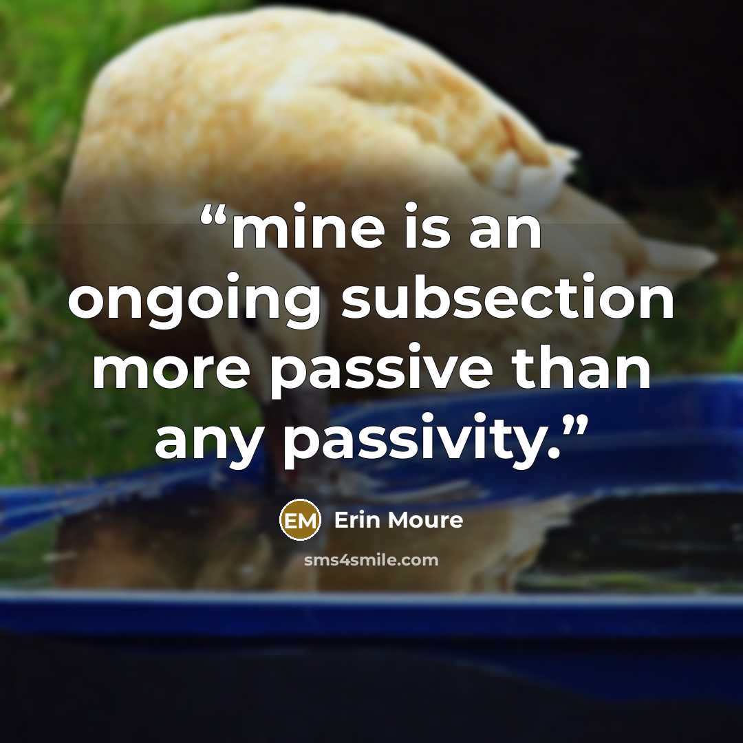 “mine is an ongoing subsection more passive than any passivity.” quote by Erin Moure