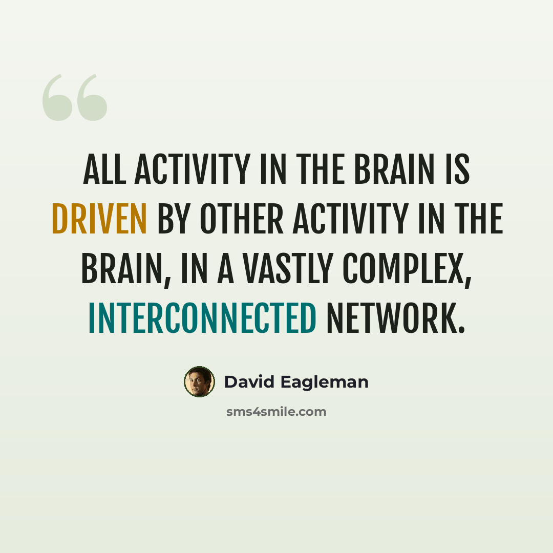 “All activity in the brain is driven by other activity in the brain, in a vastly complex, interconnected network.” quote by David Eagleman