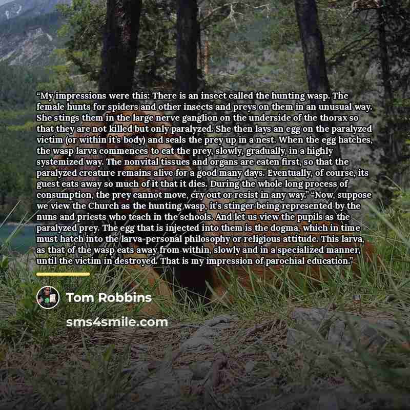 “My impressions were this: There is an insect called the hunting wasp. The female hunts for spiders and other insects and preys on them in an unusual way. She stings them in the large nerve ganglion on the underside of the thorax so that they are not killed but only paralyzed. She then lays an egg…” quote by Tom Robbins