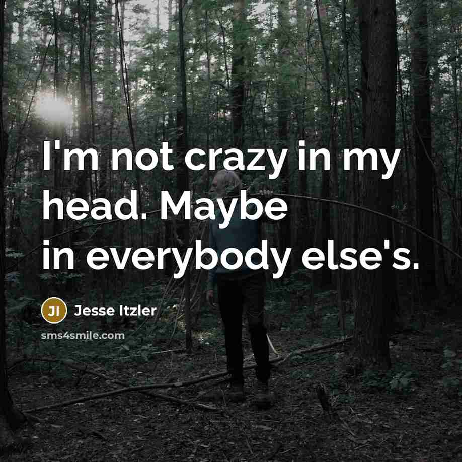 “I'm not crazy in my head. Maybe in everybody else's.” quote by Jesse Itzler