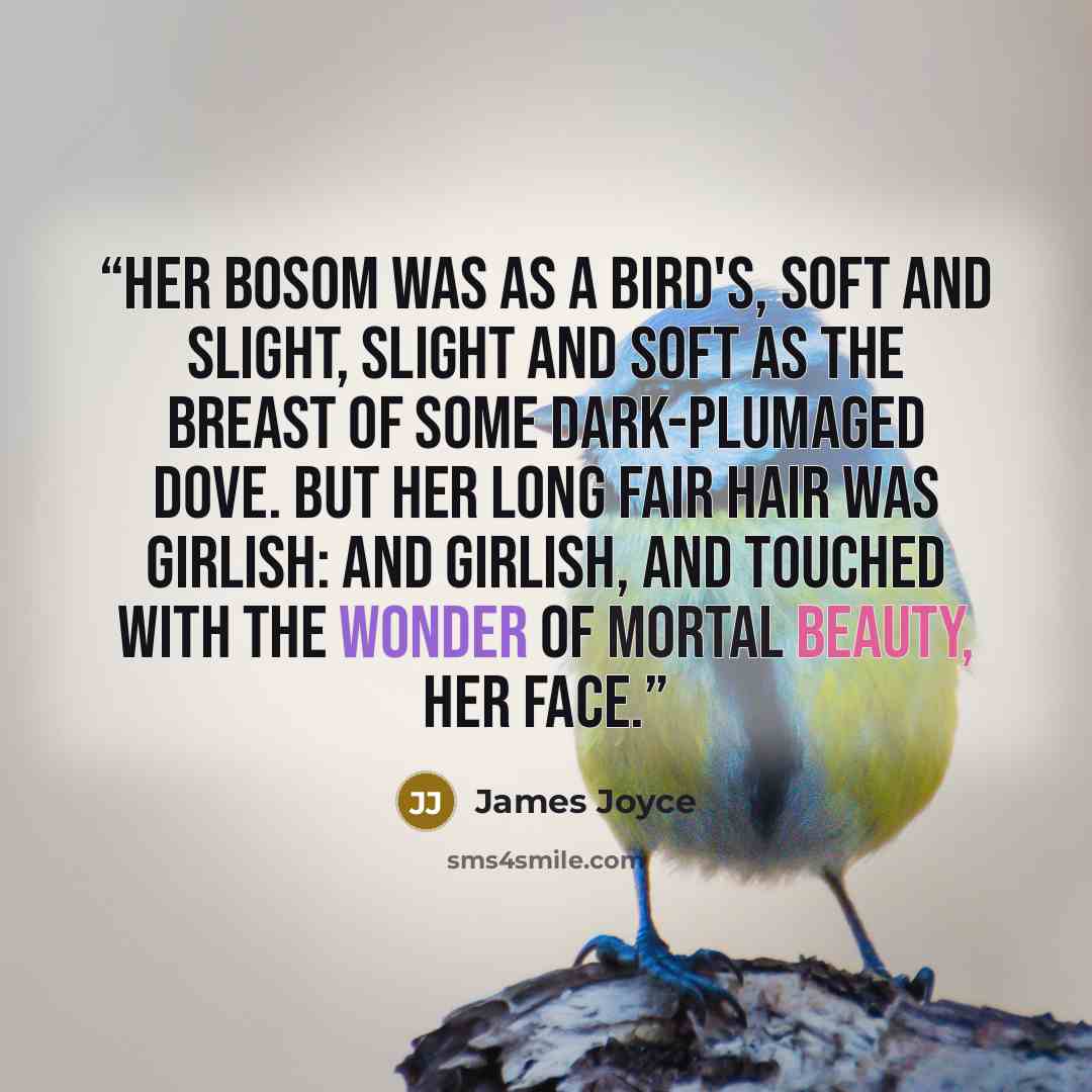 “Her bosom was as a bird's, soft and slight, slight and soft as the breast of some dark-plumaged dove. But her long fair hair was girlish: and girlish, and touched with the wonder of mortal beauty, her face.” quote by James Joyce