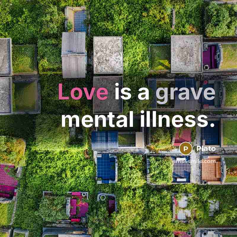 “Love is a grave mental illness.” quote by Plato