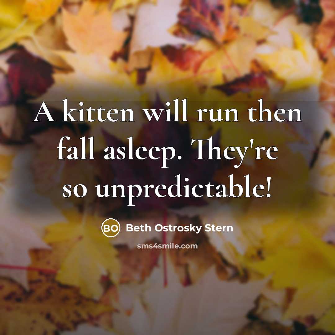 “A kitten will run then fall asleep. They're so unpredictable!” quote by Beth Ostrosky Stern
