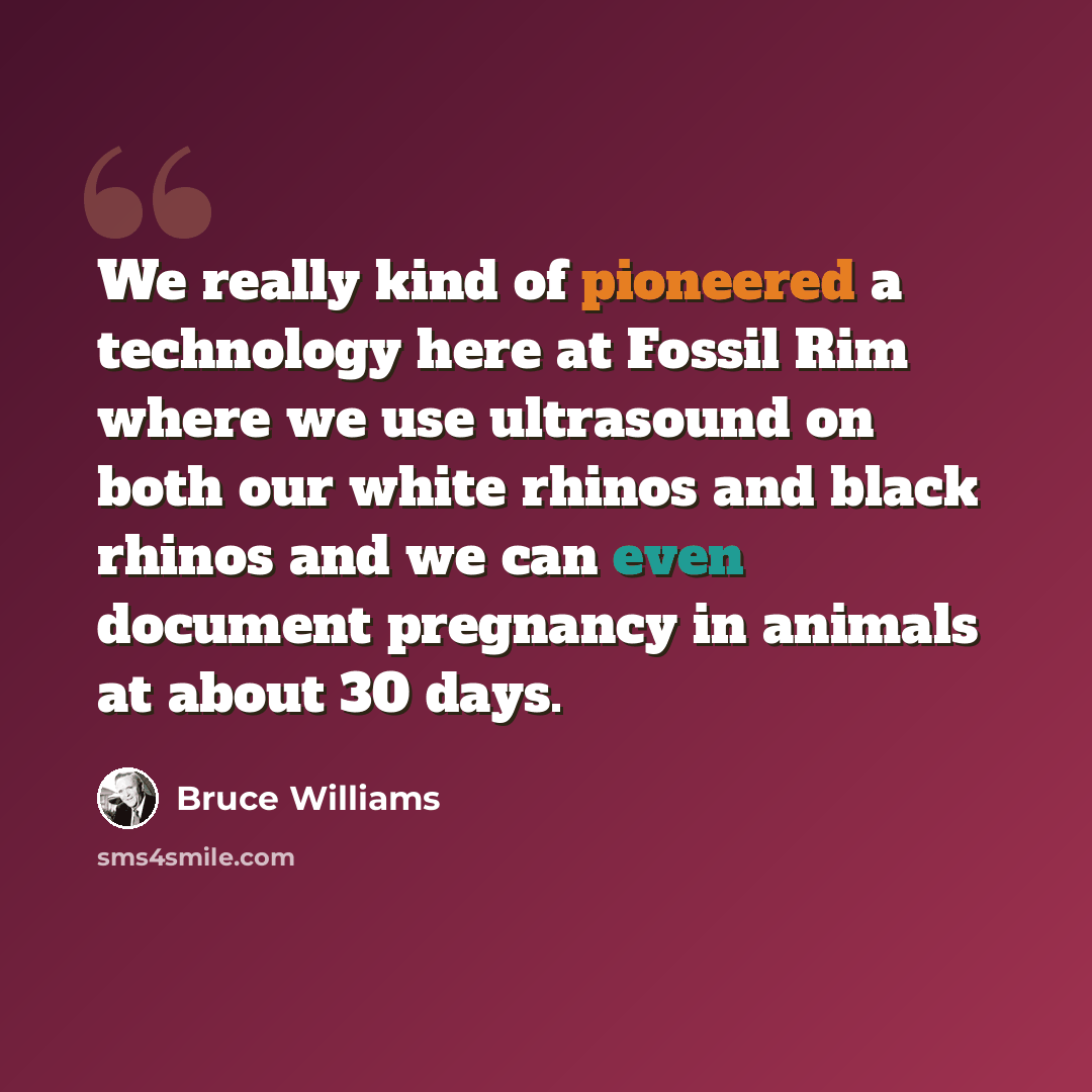 “We really kind of pioneered a technology here at Fossil Rim where we use ultrasound on both our white rhinos and black rhinos and we can even document pregnancy in animals at about 30 days.” quote by Bruce Williams