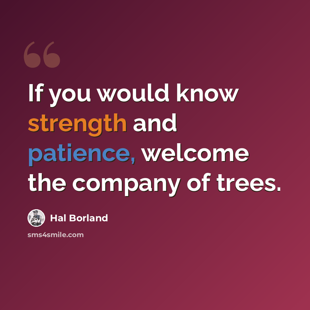 “If you would know strength and patience, welcome the company of trees.” quote by Hal Borland