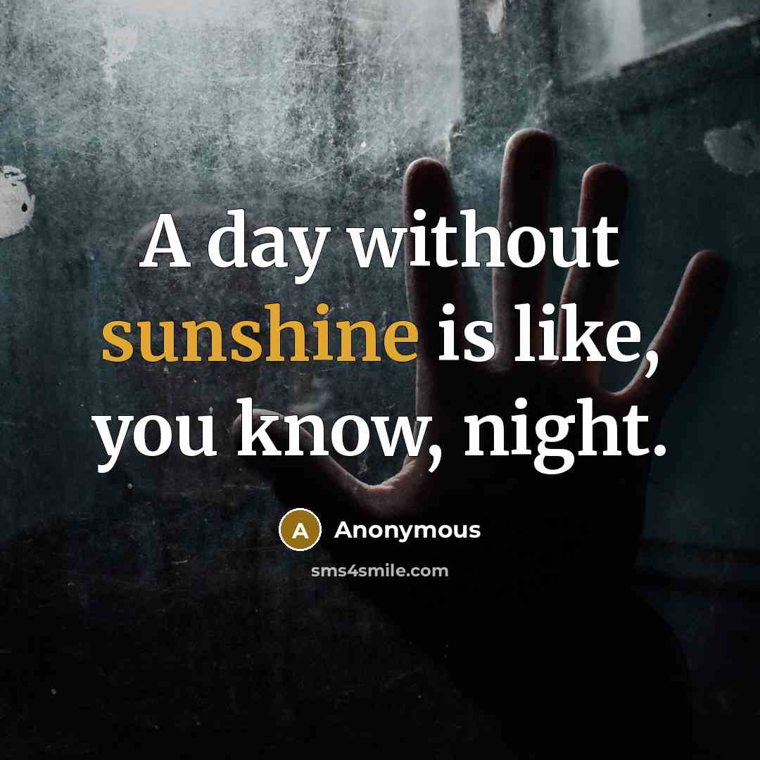 “A day without sunshine is like, you know, night.” quote by Anonymous