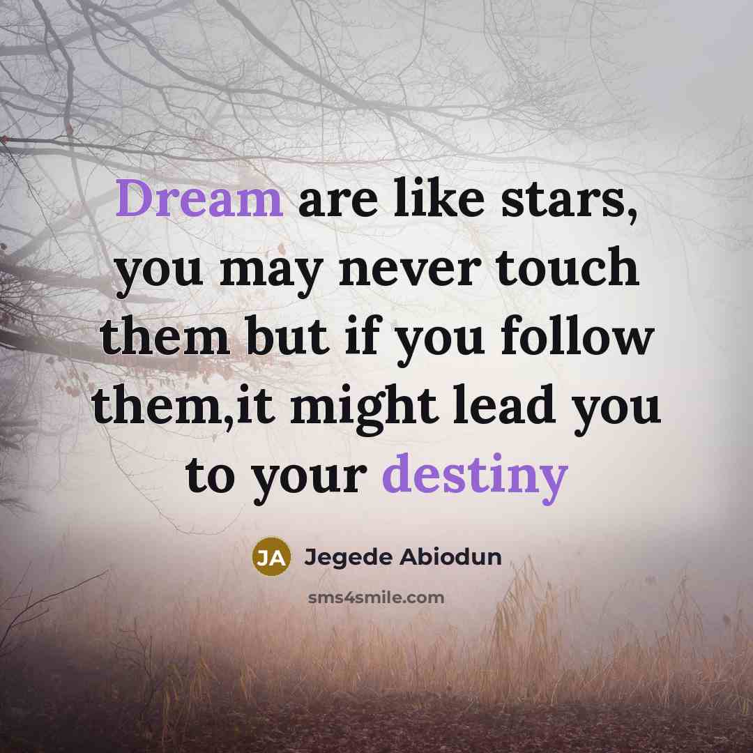 “Dream are like stars, you may never touch them but if you follow them,it might lead you to your destiny” quote by Jegede Abiodun