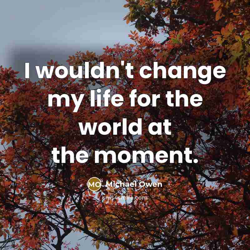 “I wouldn't change my life for the world at the moment.” quote by Michael Owen