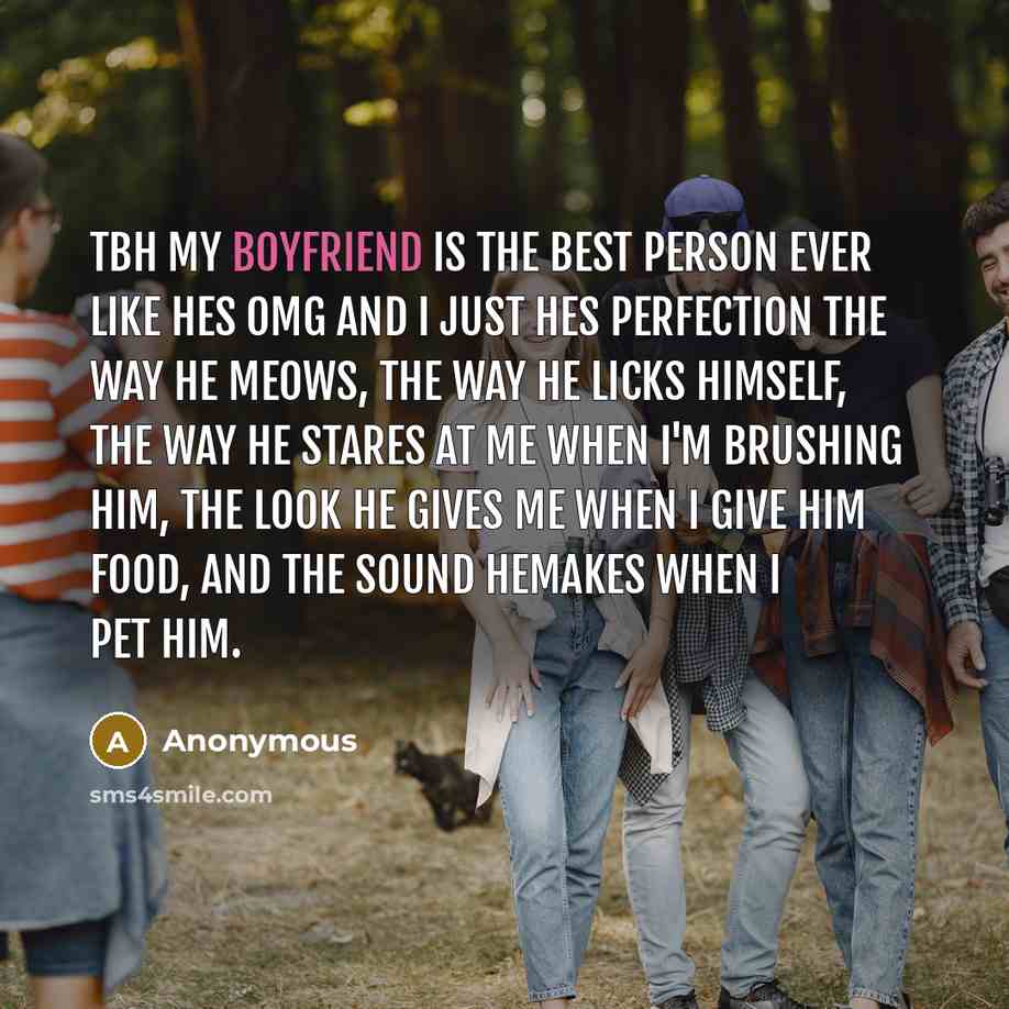 “Tbh my boyfriend is the best person ever like hes omg and i just hes perfection the way he meows, the way he licks himself, the way he stares at me when I'm brushing him, the look he gives me when I give him food, and the sound hemakes when I pet him.” quote by Anonymous