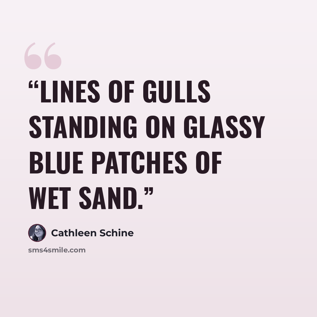 “Lines of gulls standing on glassy blue patches of wet sand.” quote by Cathleen Schine