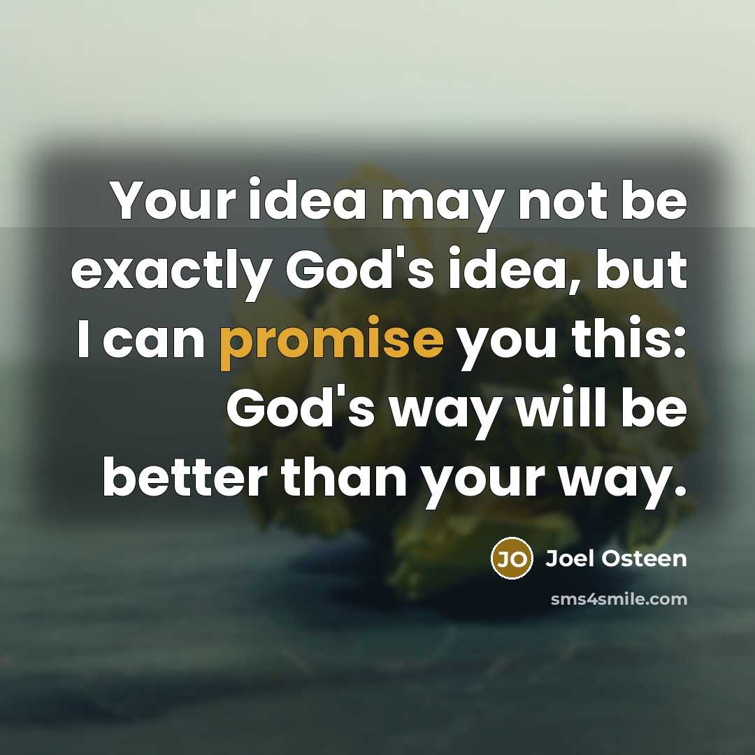 “Your idea may not be exactly God's idea, but I can promise you this: God's way will be better than your way.” quote by Joel Osteen