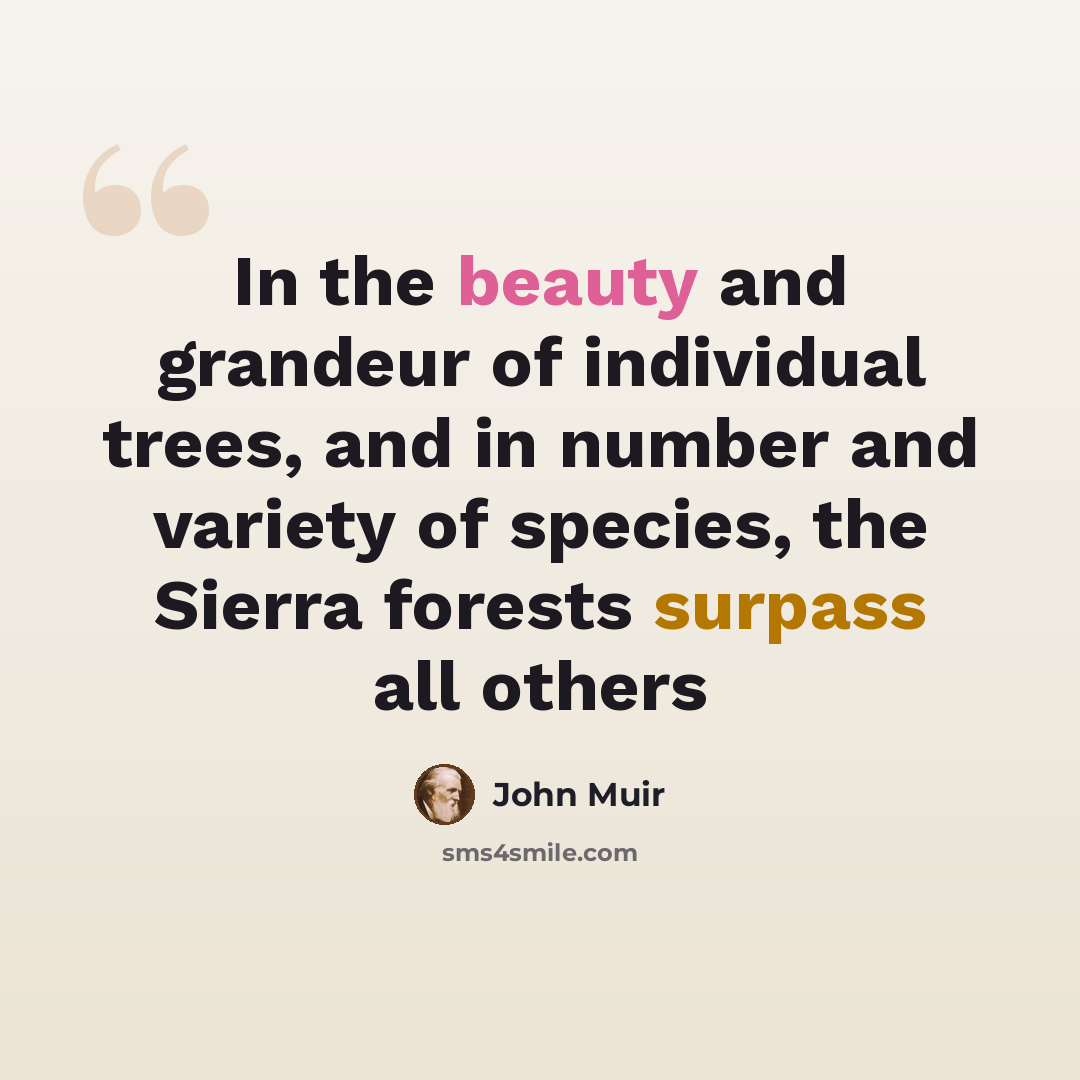 “In the beauty and grandeur of individual trees, and in number and variety of species, the Sierra forests surpass all others” quote by John Muir