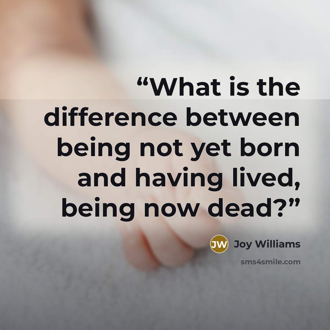 “What is the difference between being not yet born and having lived, being now dead?” quote by Joy Williams