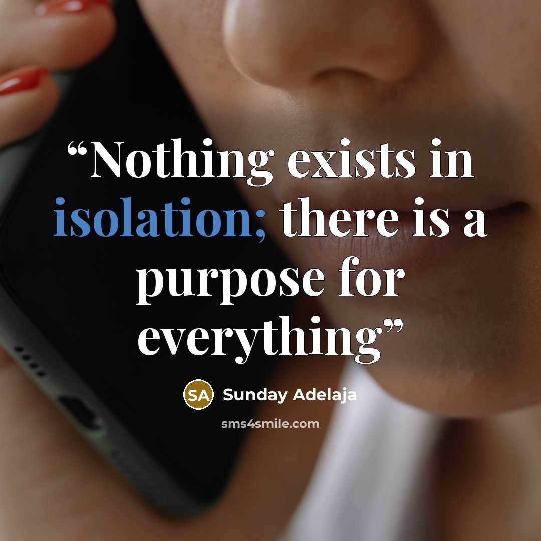 “Nothing exists in isolation; there is a purpose for everything” quote by Sunday Adelaja