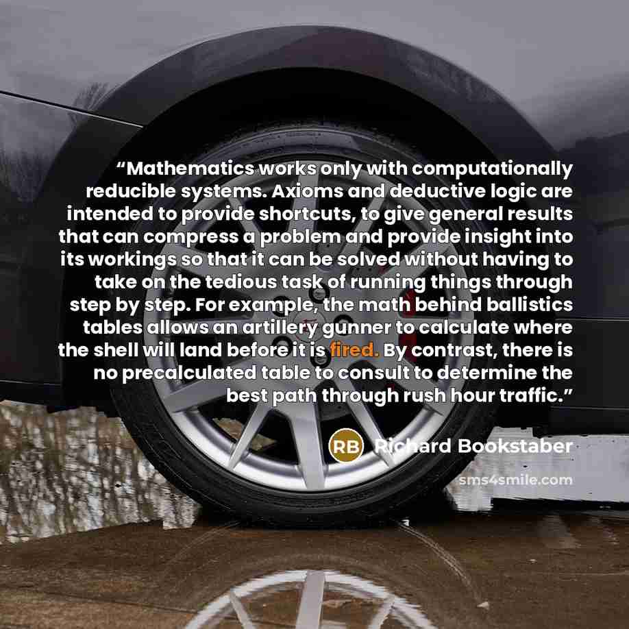 “Mathematics works only with computationally reducible systems. Axioms and deductive logic are intended to provide shortcuts, to give general results that can compress a problem and provide insight into its workings so that it can be solved without having to take on the tedious task of running…” quote by Richard Bookstaber