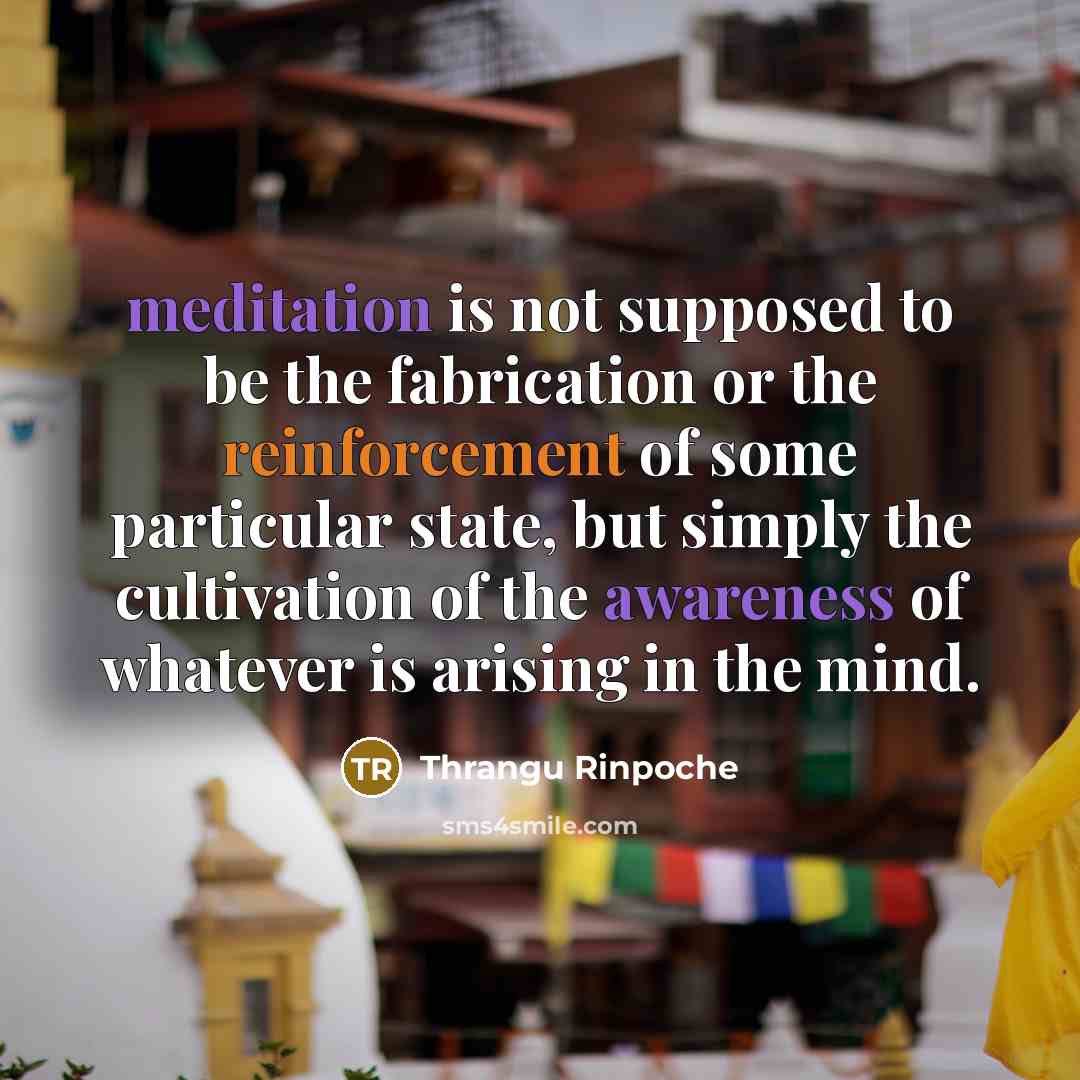 “meditation is not supposed to be the fabrication or the reinforcement of some particular state, but simply the cultivation of the awareness of whatever is arising in the mind.” quote by Thrangu Rinpoche