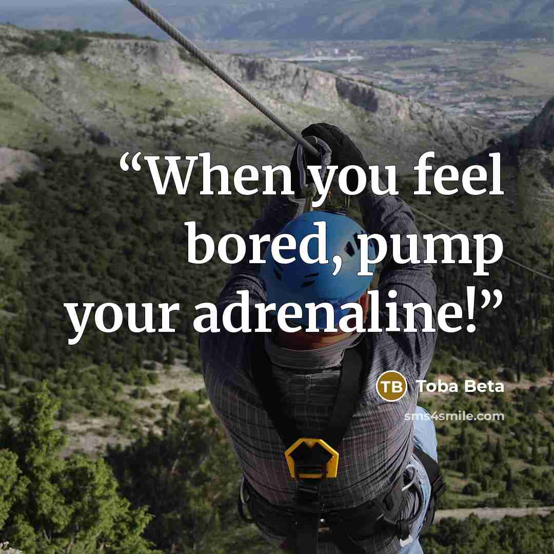 “When you feel bored, pump your adrenaline!” quote by Toba Beta
