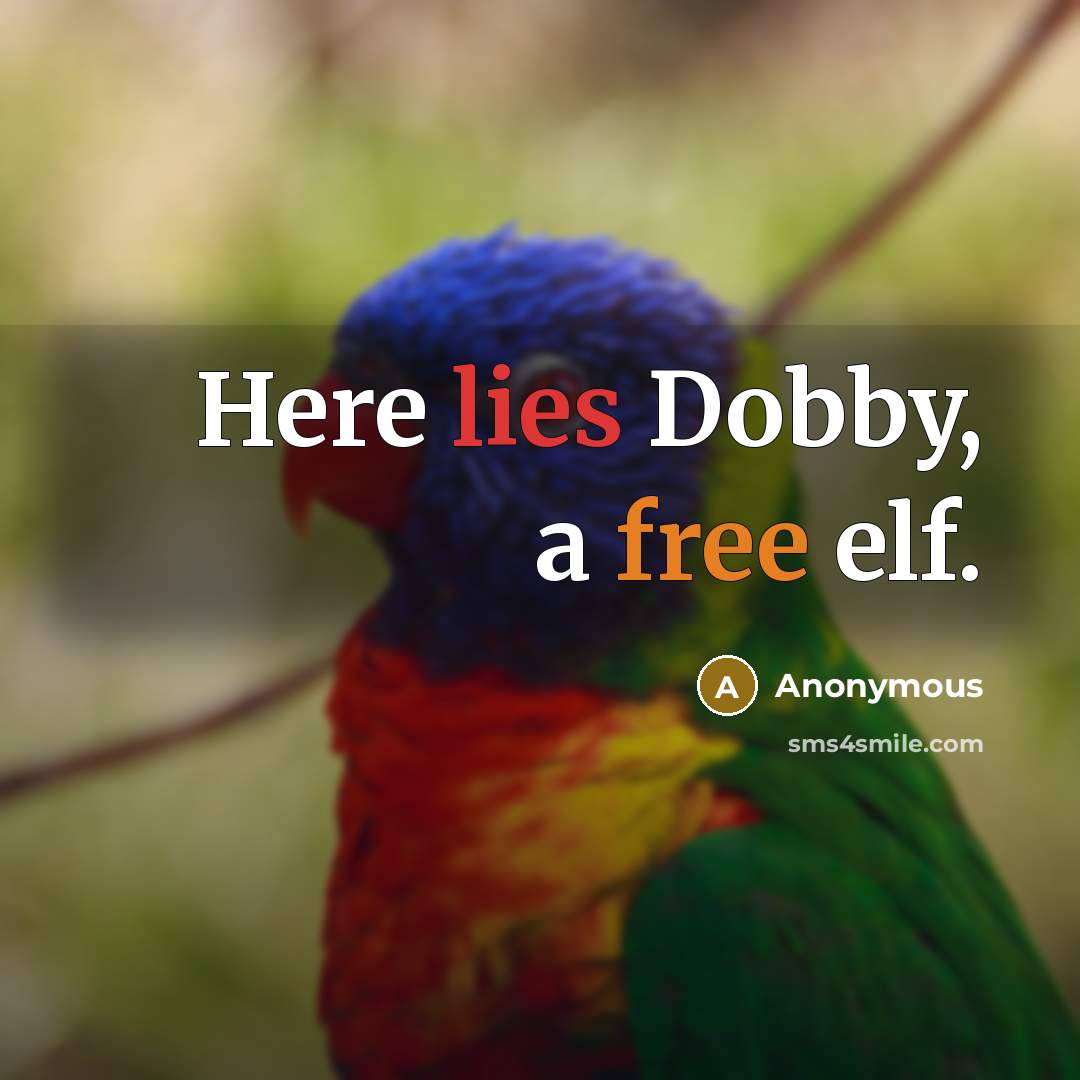 “Here lies Dobby, a free elf.” quote by Anonymous