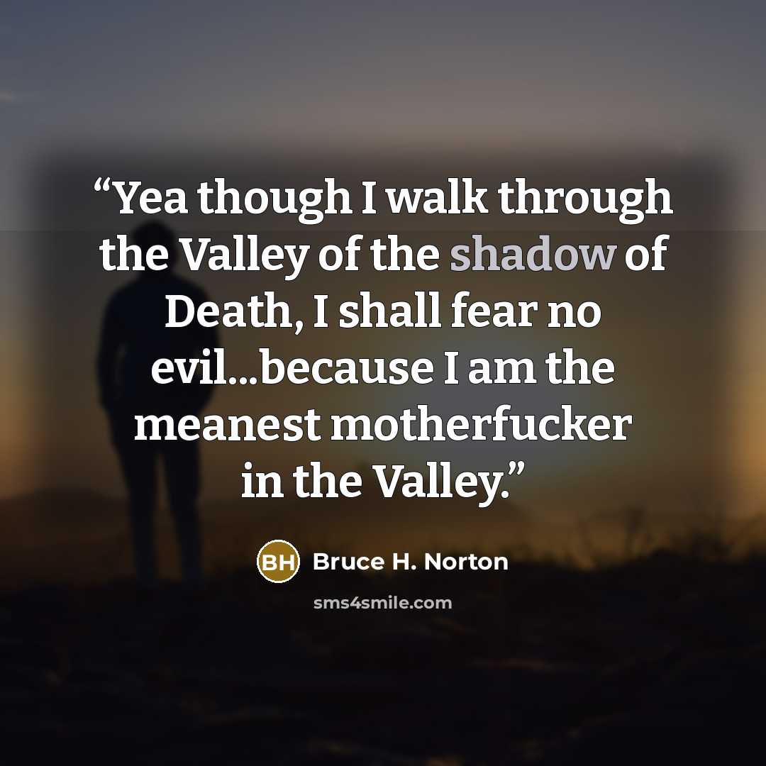 “Yea though I walk through the Valley of the shadow of Death, I shall fear no evil...because I am the meanest motherfucker in the Valley.” quote by Bruce H. Norton