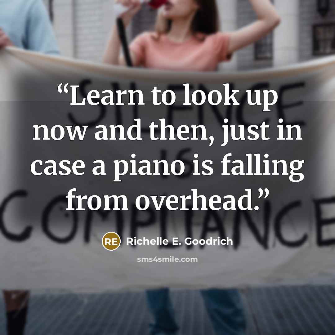 “Learn to look up now and then, just in case a piano is falling from overhead.” quote by Richelle E. Goodrich